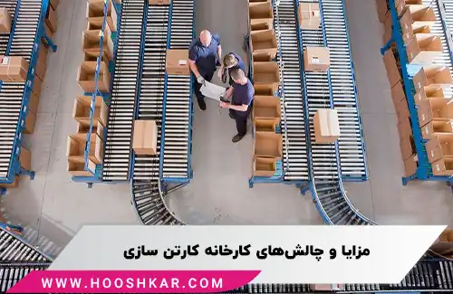 نحوه راه اندازی کارتن سازی