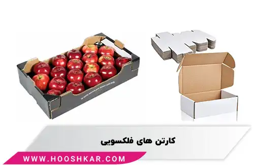 کارتن فلکسویی